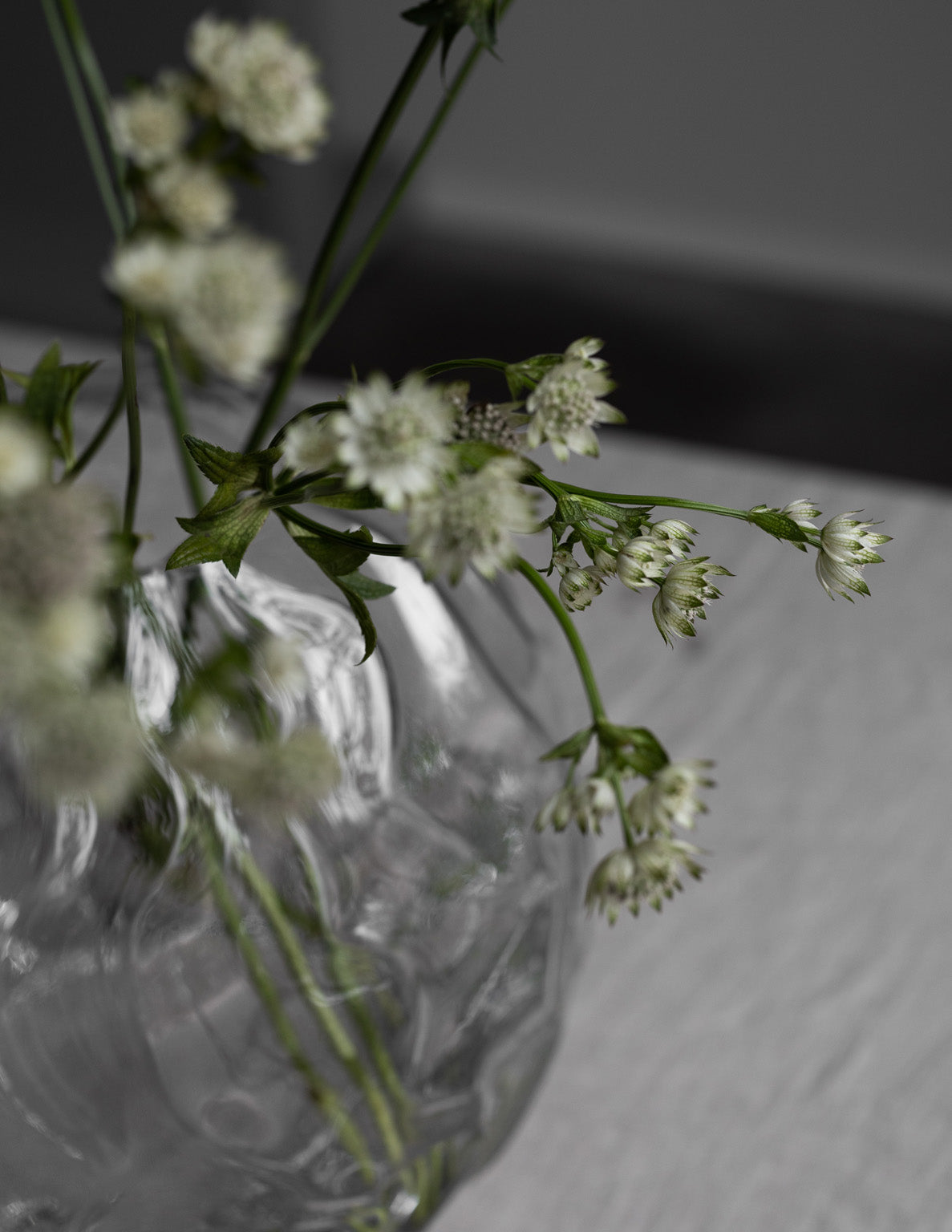 Vase Malmbäck - XL
