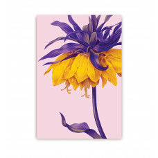 Postkarte - Yellow Crown Imperial