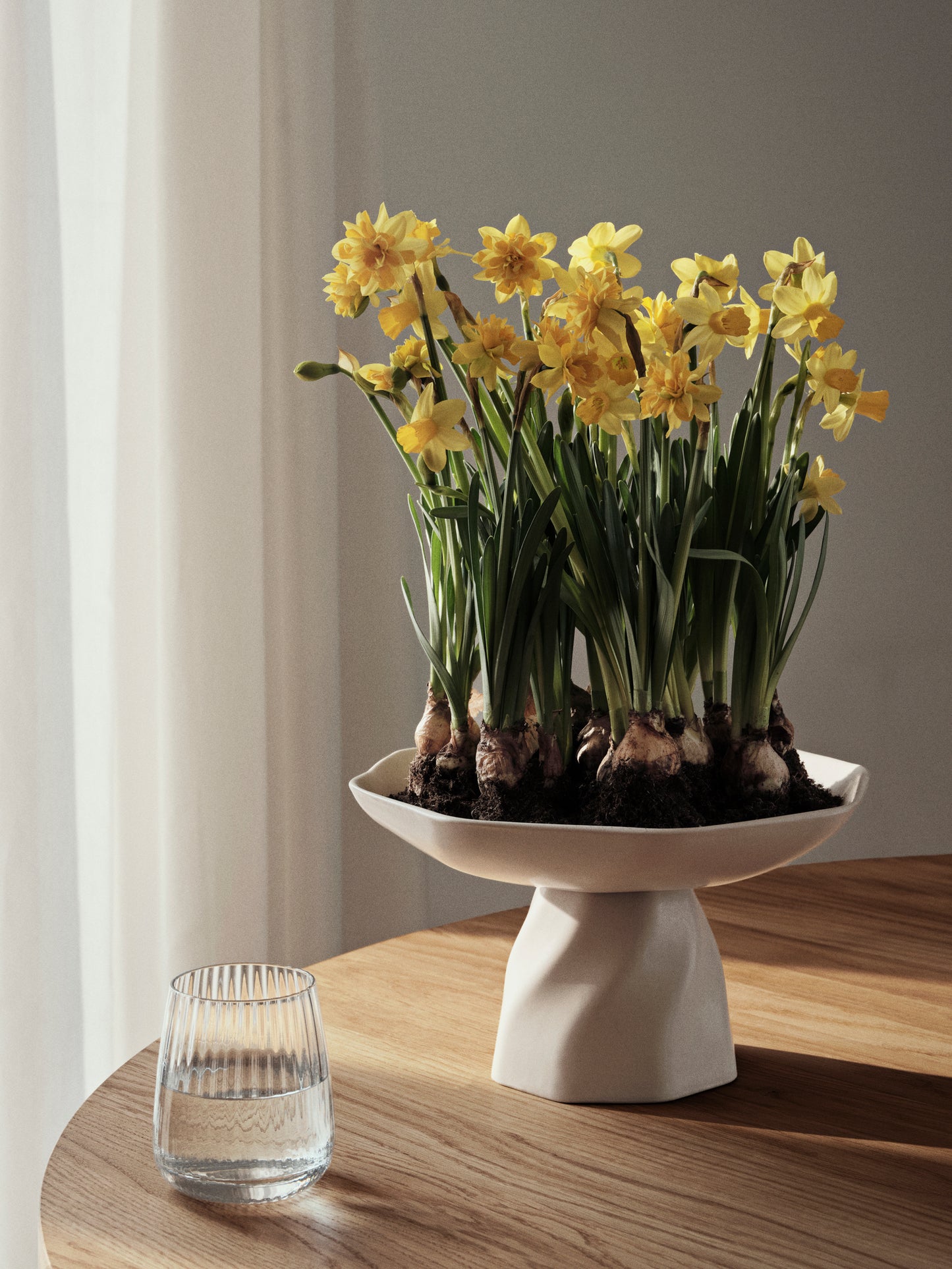 Sandvig Glas