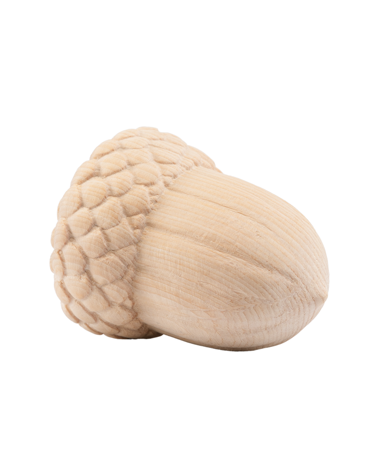 Eichel 6cm - Natur