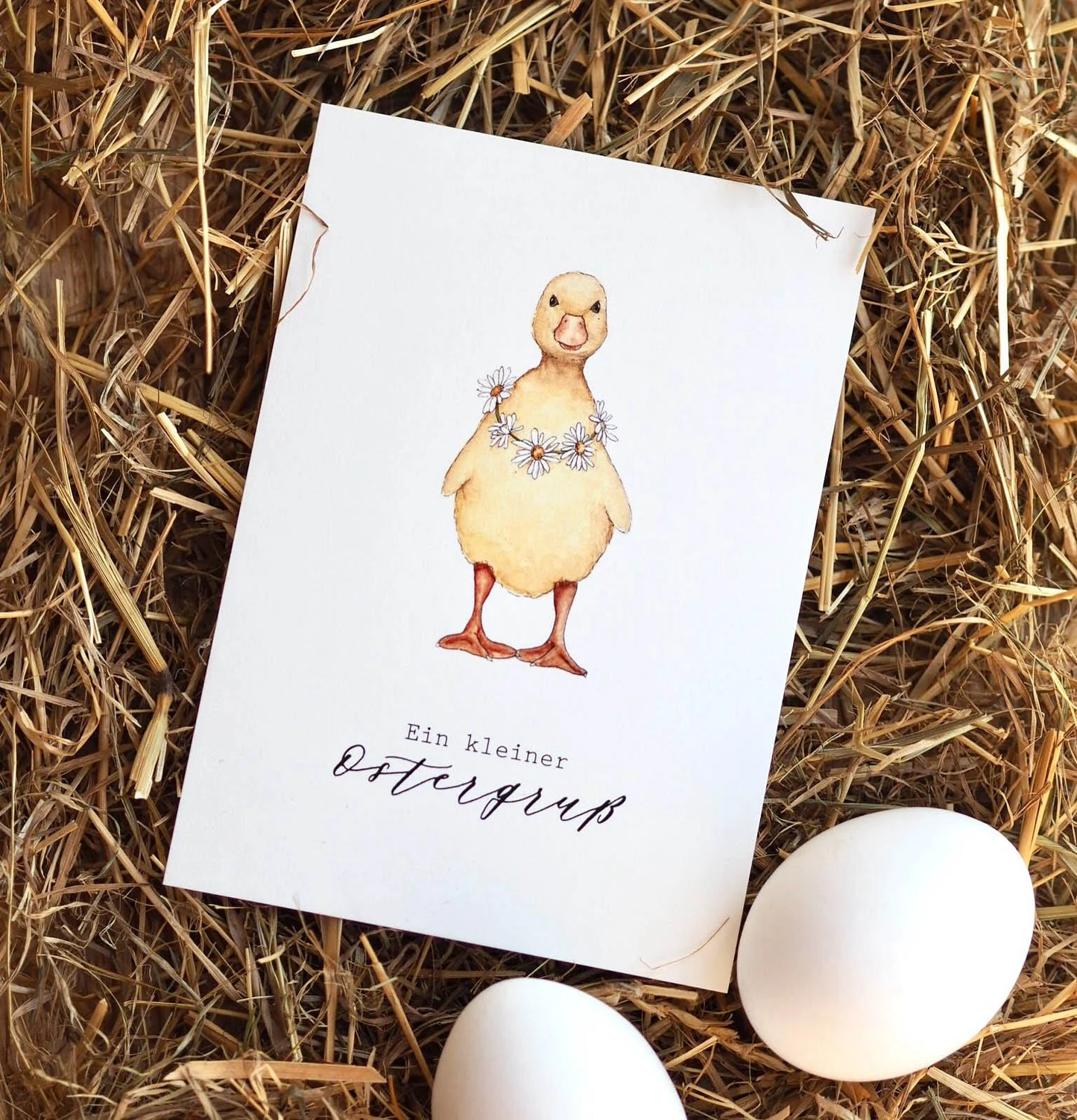 Postkarte - Küken