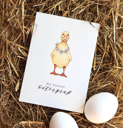 Postkarte - Küken