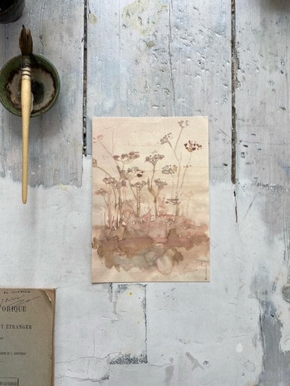 Wild Flowers - A5